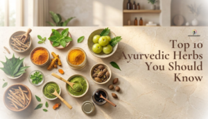 Top 10 Ayurvedic herbs displayed with turmeric, amla, green powders