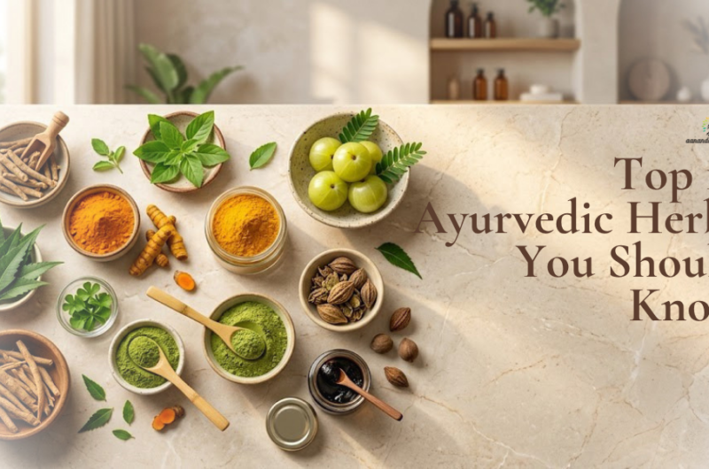 Top 10 Ayurvedic Herbs You Should Know (+ Uses & Benefits)